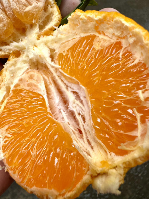 青藤社®春见  无甜蜜素，挂果期足够，口感自然，鲜味十足，层次丰富，回味悠远 商品图1