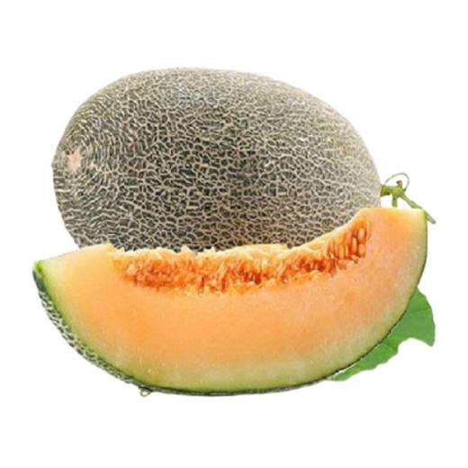 楼兰香哈密瓜（2000±100g）多退少补甜瓜香瓜 商品图1