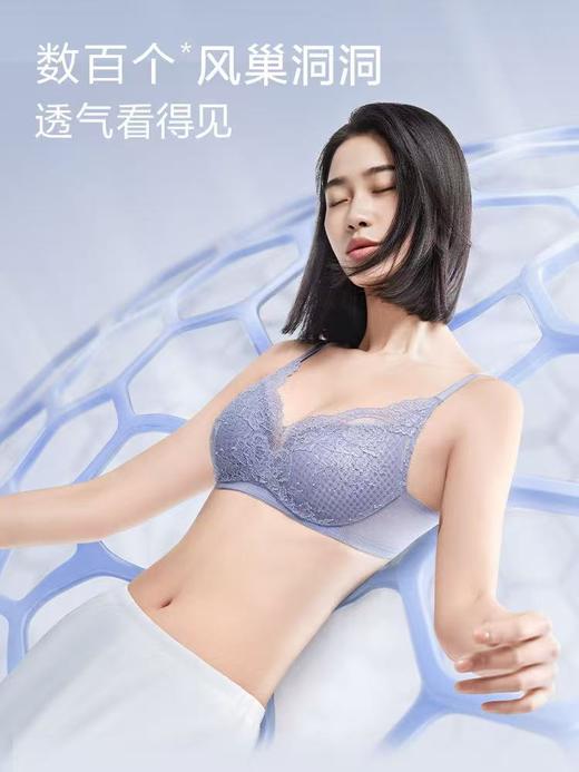 【内衣店庆提前购】【一口价】3楼安莉芳薄款蕾丝3D软支撑大胸显小文胸EBW0537吊牌价599元现价199元 商品图2
