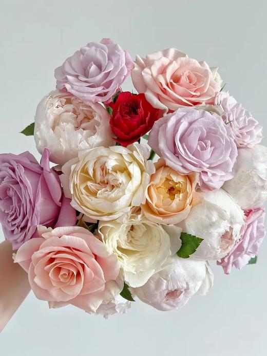 混色单头玫瑰20枝 商品图0