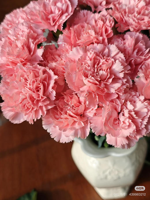 【2026.3.27】特价：1扎20枝A级粉钻康乃馨19.9（现货 下单即可到店自提） 商品图4