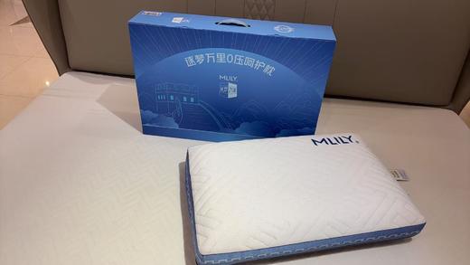 【春上新】10楼 梦百合逐梦万里0压呵护枕   零售价799元/只  活动价399元/只 商品图1