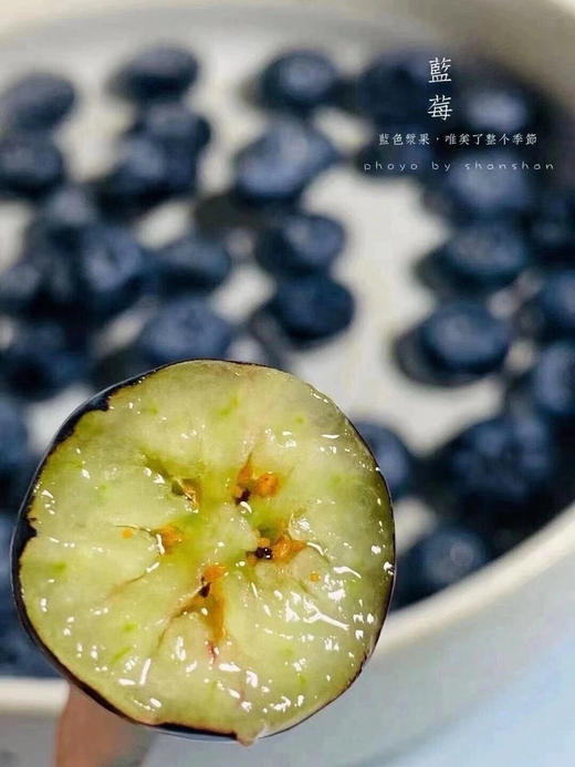 云南怡颗莓L25蓝莓 商品图1