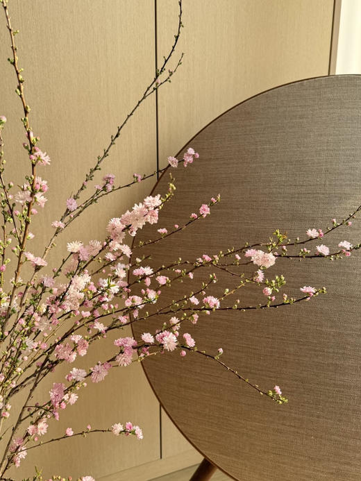 国产花材-【珍珠李】 商品图0