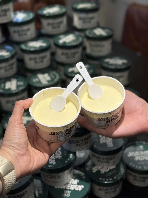 壹家良品奶皮子酸奶 商品图0