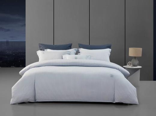 梦洁MENDALE纯棉印花四件套：卢卡尔(雾霾蓝) 商品图0