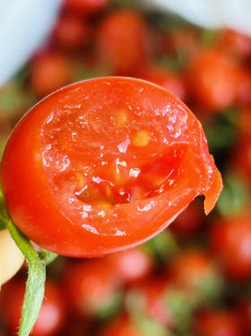 #仅限杭州主城区发货# 釜山88 小番茄 一口爆汁 鲜爽可口～