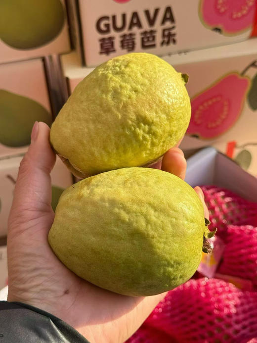 草莓红心奶油芭乐 商品图4