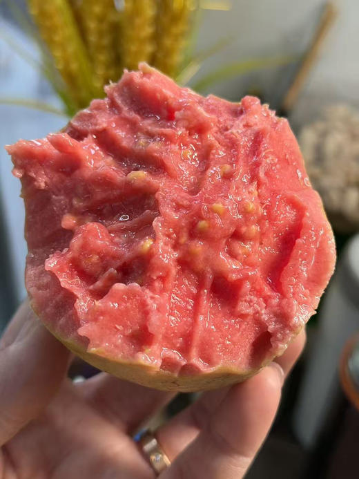 草莓红心奶油芭乐 商品图0