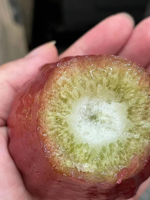 南鹿一号牛奶莲雾  纯有机，脆甜水嫩多汁，润肺润喉 商品图3