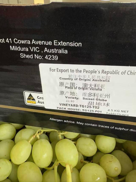 ＃同城最佳，如果顺丰外地会有几颗掉粒介意慎拍＃超脆甜！澳洲甜地球，无籽，果子硬朗，皮薄爆汁儿，水冲冲一颗接一颗，好爽，孩子超爱。 商品图6