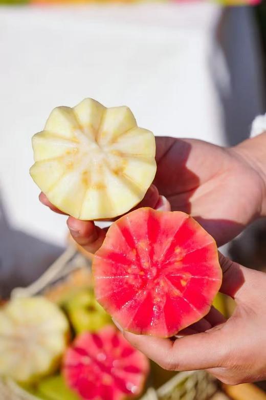 周日取货：【心动双拼芭乐】一箱毛重3斤左右，香甜清爽超好吃~ 商品图6