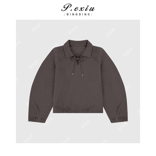 A008潘依绣丁丁宠粉人丝韩系松弛磨绒加厚POLO领镰刀袖卫衣Q42910 商品图0