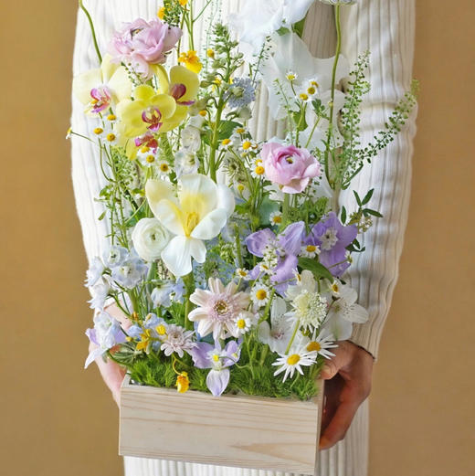 《春日来信》野趣田园系花盒，品种随机 商品图1