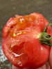 草莓野番茄 纯有机 有籽的番茄才是真正的原生态！0激素0农残，有机水肥，雄蜂授粉！ 商品缩略图1