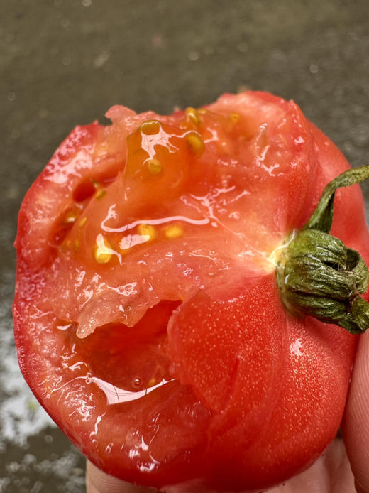 草莓野番茄 纯有机 有籽的番茄才是真正的原生态！0激素0农残，有机水肥，雄蜂授粉！ 商品图1