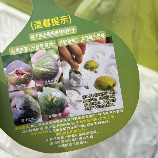 海南花香蜜无花果 商品图1