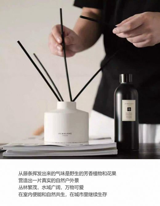 原单正品祖m珑乔治亚白陶家居系列满室幽香香薰030102 商品图4
