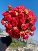 爱丽丝多头玫瑰10枝 商品缩略图0