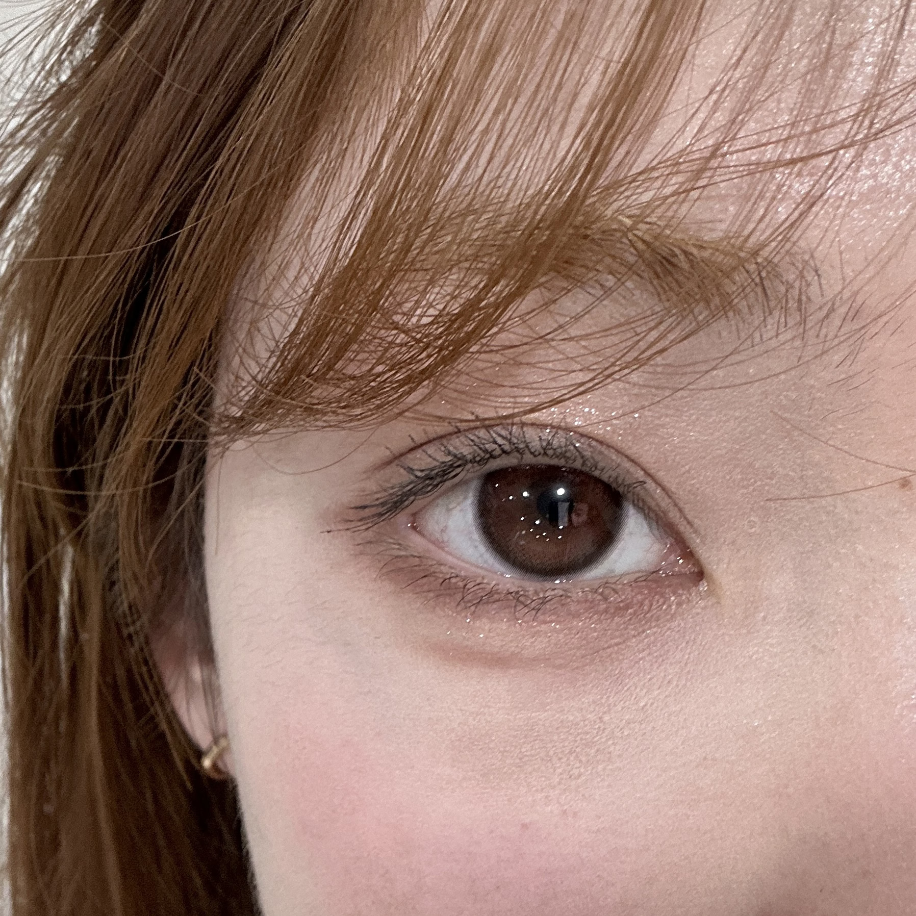 Kira fairy日抛美瞳 原生榛子 14.5mm