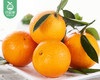 重庆奉节伦晚脐橙大果/1份（2kg±100g） 商品缩略图3