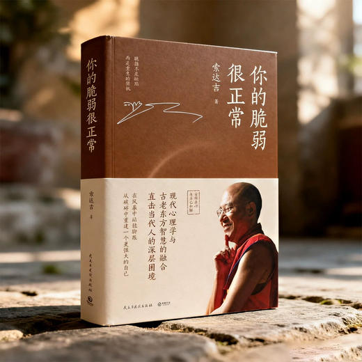 你的脆弱很正常 心灵作家索达吉2026年全新重磅力作疗愈实操的书 告别焦虑停止内耗脆弱不是缺陷而是重生的契机 商品图5
