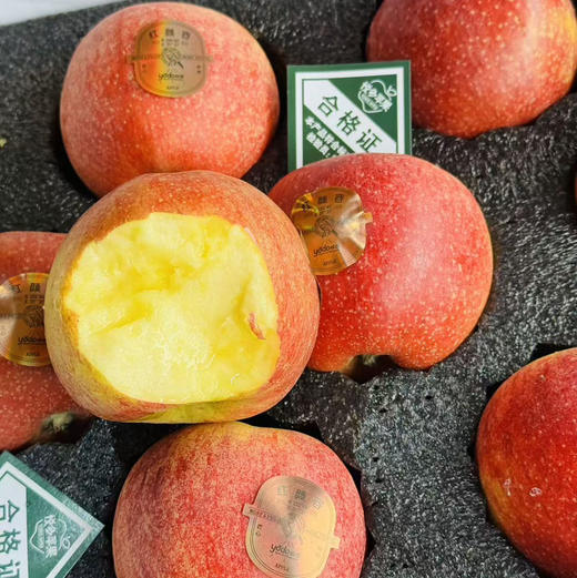 【黄金产区区国产爱妃红颜苹果/三色苹果合集】抗氧化，生态园种植，只施有机肥，肉质细腻无渣，果肉松脆爽爽口 商品图7