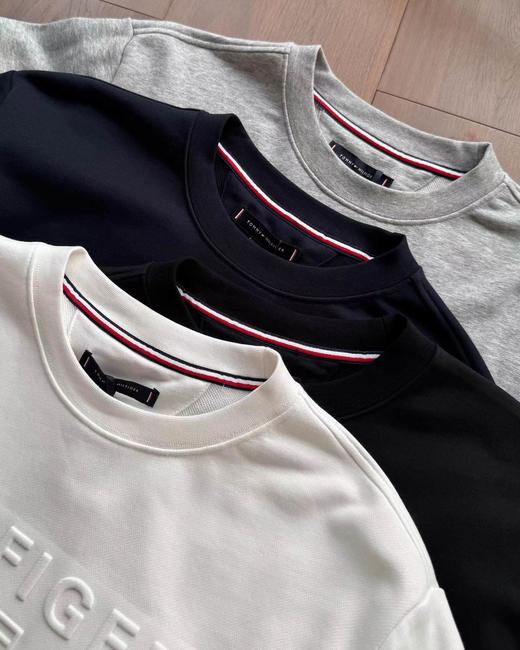 F0301100男装休闲凸印刺绣19125刺绣合身圆领运动套头卫衣 商品图4