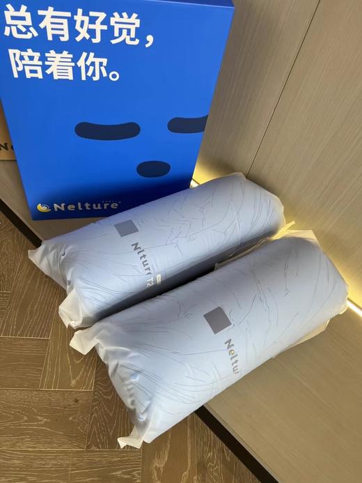 F030140软乎乎还自带细腻弹性锦氨透气枕芯 商品图2