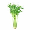 芹菜（400±50g） 商品缩略图1