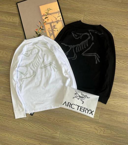 F030171后背大Logo新品圆领舒适纯棉舒适百搭长袖T恤 商品图3