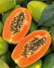 周一取货：【海南红心木瓜】一箱毛重5斤左右，肉质细腻！鲜甜美味！！！ 商品缩略图0