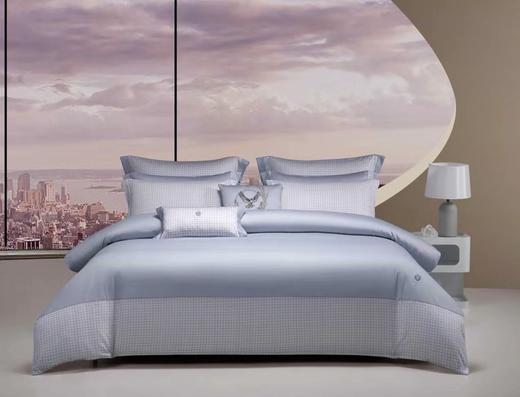 梦洁MENDALE纯棉印花四件套：典.蓝灰 商品图0