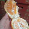 【好吃的耙耙柑来喽】橘子味浓郁，纯甜（甜），水嫩多汁，明星爆款产品 商品缩略图3