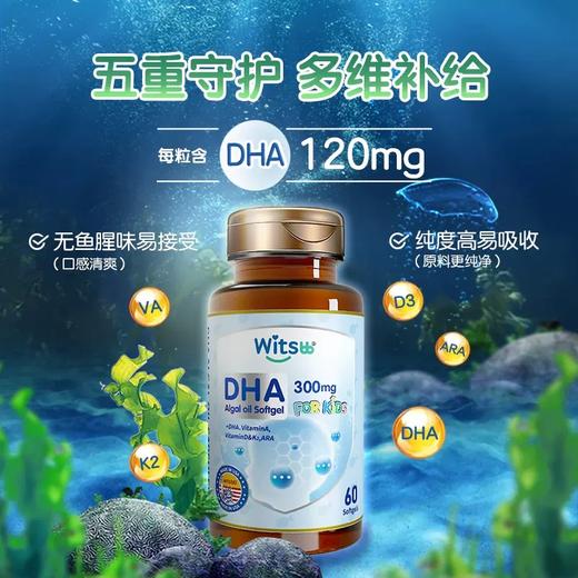 Witsbb健敏思多效复合DHA藻油胶囊60粒/瓶 商品图0