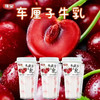 维宝车厘子牛乳风味饮料520g 商品缩略图0