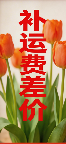补运费差价