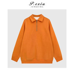 A008潘依绣丁丁宠粉纯色简约百搭加绒厚款POLO领长袖卫衣Q79456