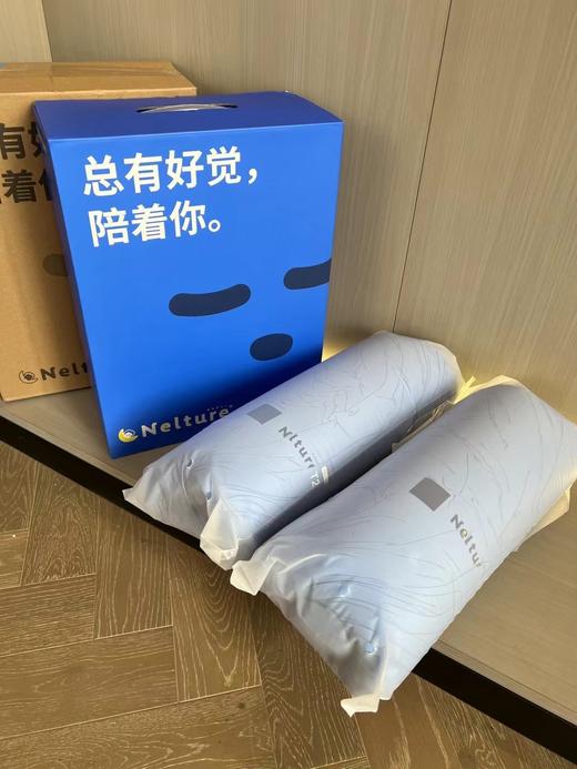 F030140软乎乎还自带细腻弹性锦氨透气枕芯 商品图0