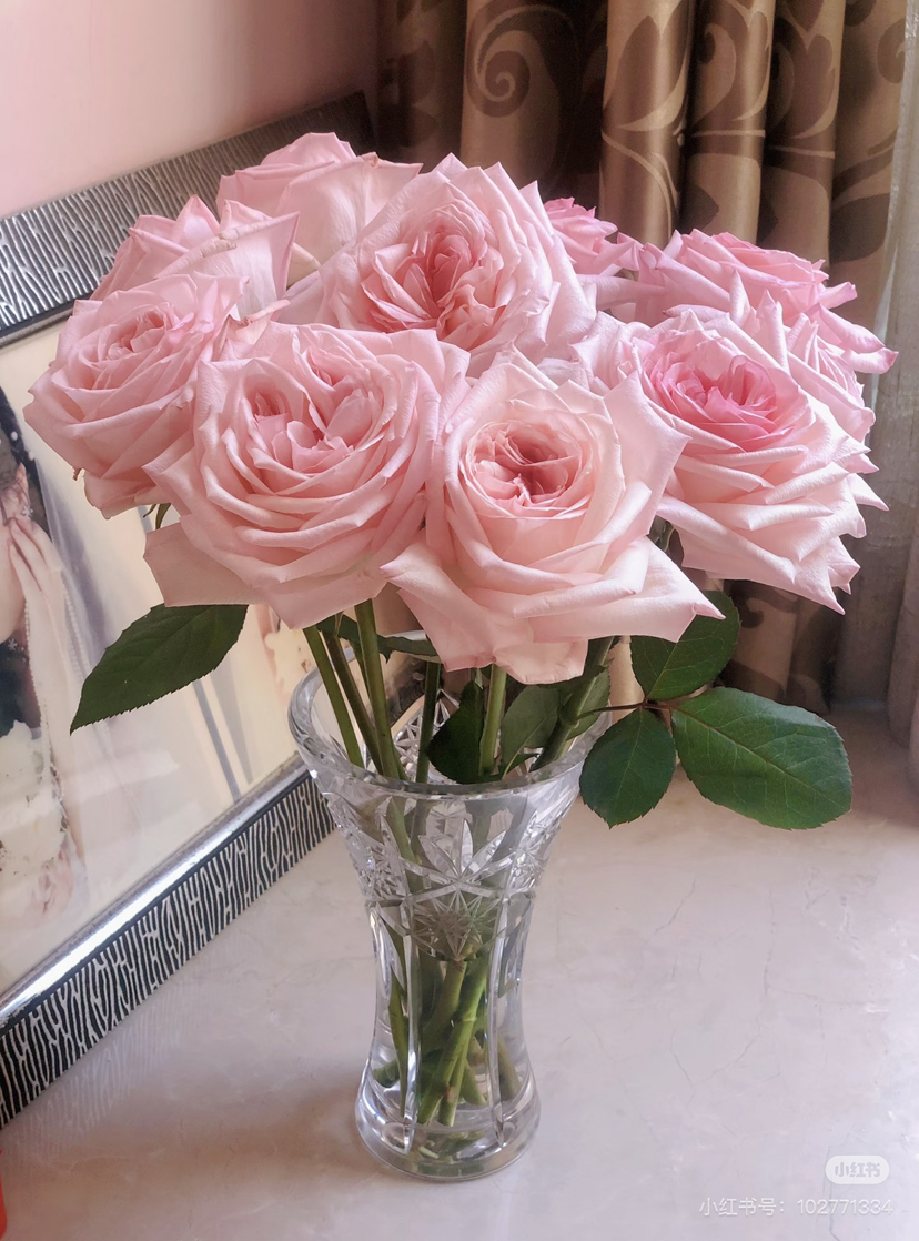 现货粉荔枝玫瑰一扎10支 支长60厘米 享受会员价