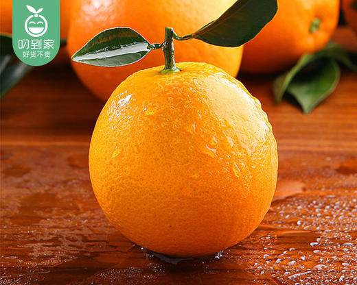 重庆奉节伦晚脐橙大果/1份（2kg±100g） 商品图1