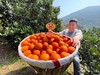 【峡江中华红橙】果肉细腻化渣，九分甜一分酸，完美的酸甜比，维生素A、C的含量尤其丰富CC 商品缩略图4