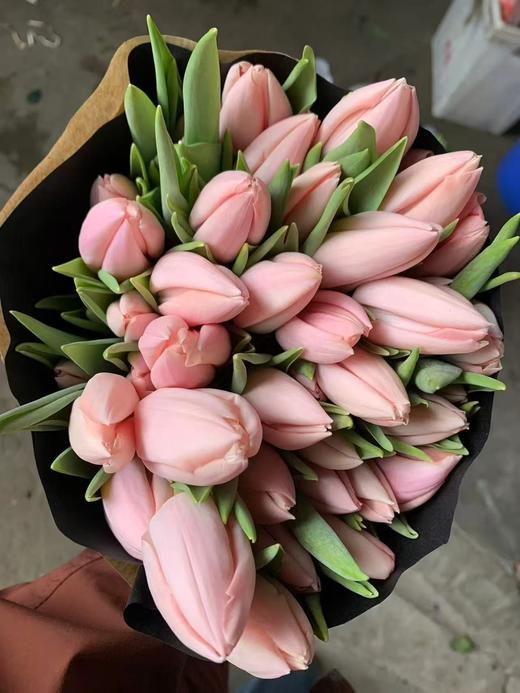 荷兰进口花材水蜜桃郁金香10支 商品图3