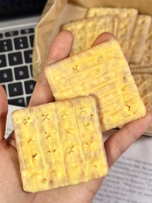 印尼进口【Gery芝莉奶酪/椰子夹心饼干】🧀2桶 商品图5