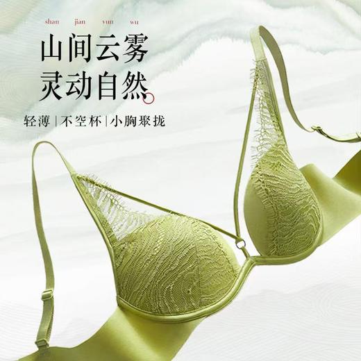 【内衣店庆提前购】【一口价】3楼安莉芳色丁线条肌理睫毛蕾丝有钢圈舒适文胸EB00832吊牌价539元现价199元 商品图1