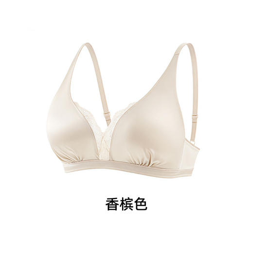 丁摩 真丝文胸弹力缎面V领性感蕾丝收侧乳100%桑蚕丝内衣YY02S303T 商品图4