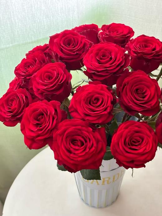 红色单头玫瑰20枝 商品图0