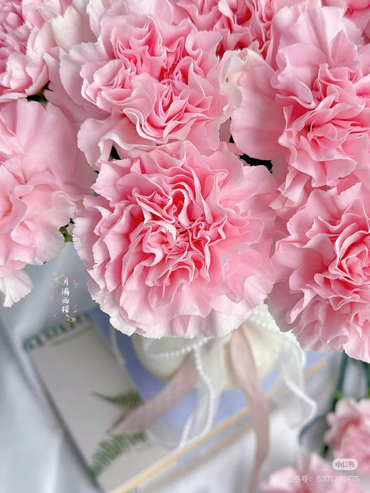 【2026.3.27】特价：1扎20枝A级樱花粉康乃馨25.9（现货 下单即可到店自提） 商品图5