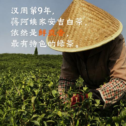 /2026新茶/ 明前安吉白茶绿茶 蒋阿姨家甜甜的小鲜肉 头摘后第3天-5天的茶 商品图0