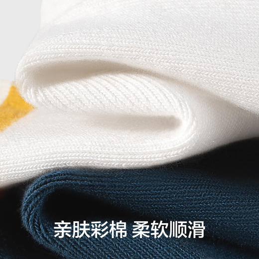 【5双装】【有棵树】男童中筒棉袜组合装 商品图2